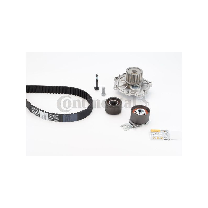 Cinghia/catena distribuzione - CONTITECH