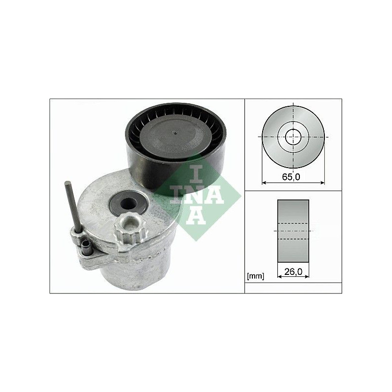 Tendicinghia trapezoidale - INA