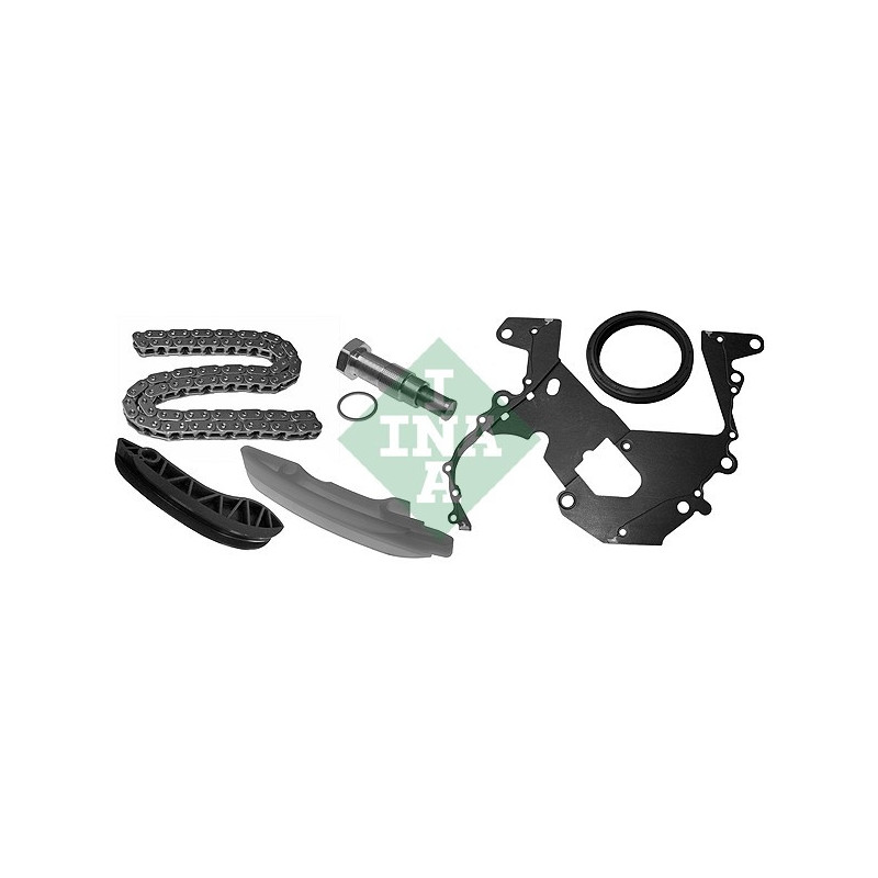 Cinghia/catena distribuzione - INA