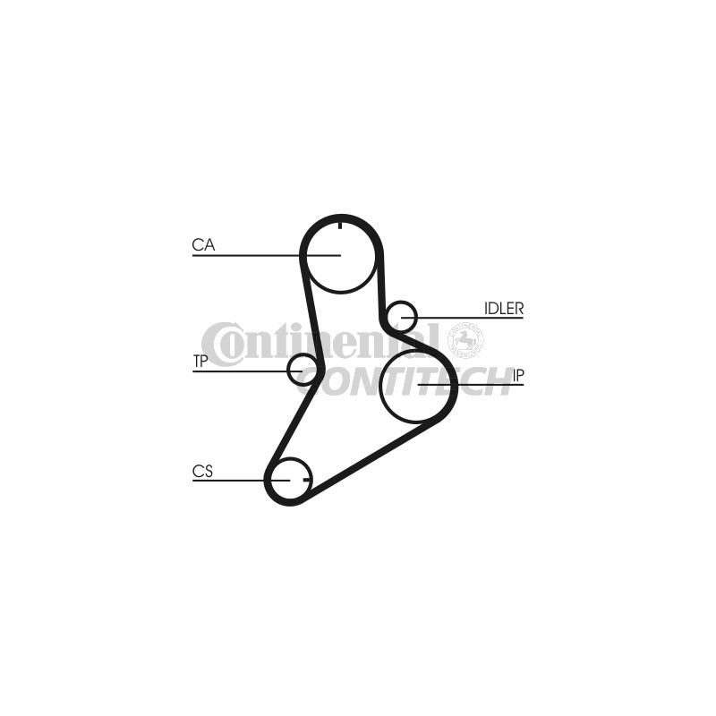 Cinghia/catena distribuzione - CONTITECH