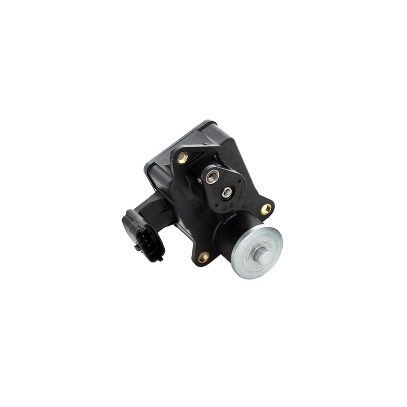 Corpo farfallato - SIDAT