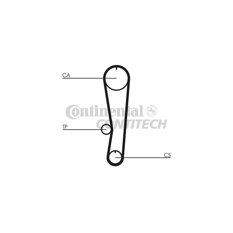 Cinghia/catena distribuzione - CONTITECH