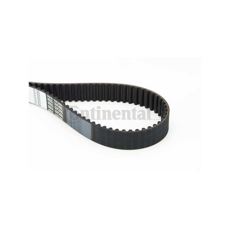 Cinghia/catena distribuzione - CONTITECH