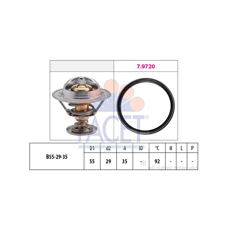 Termostato raffreddamento - FACET