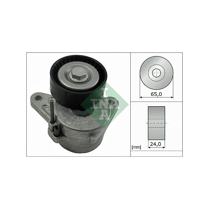 Tendicinghia trapezoidale - INA