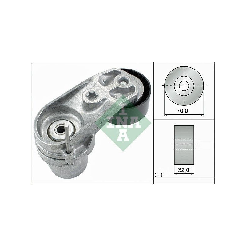 Tendicinghia trapezoidale - INA