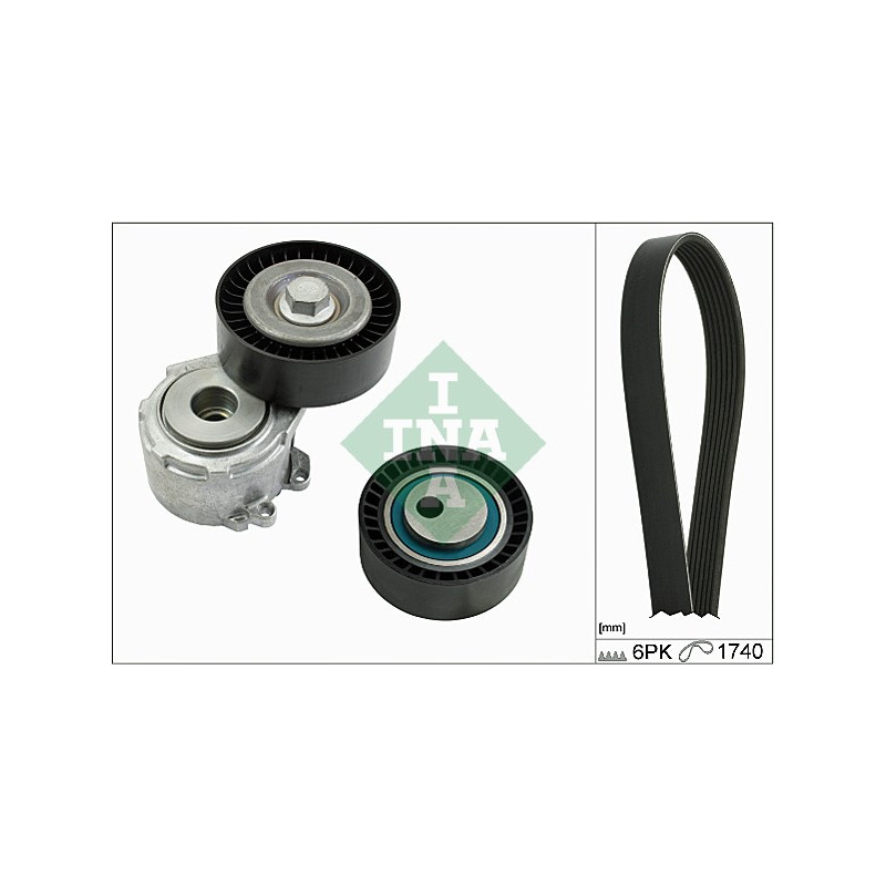 Tendicinghia trapezoidale - INA