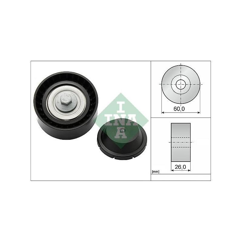 Tendicinghia trapezoidale - INA