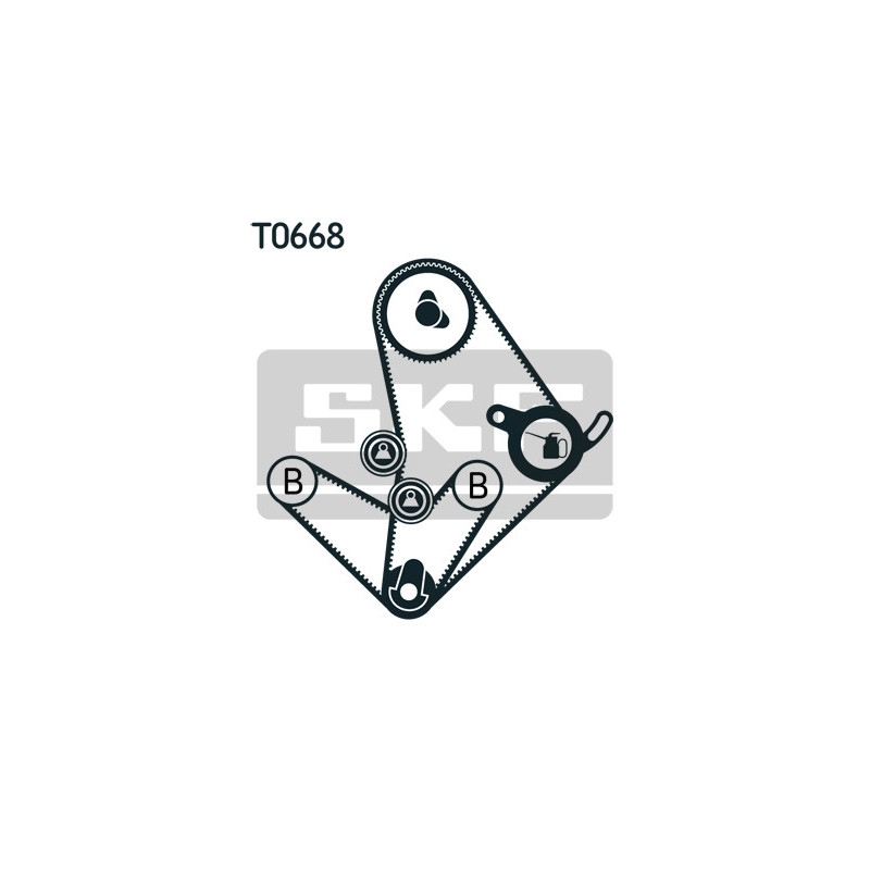 Kit distribuzione - SKF
