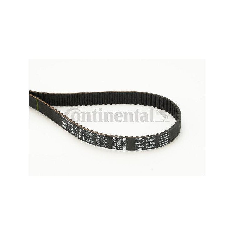 Cinghia/catena distribuzione - CONTITECH