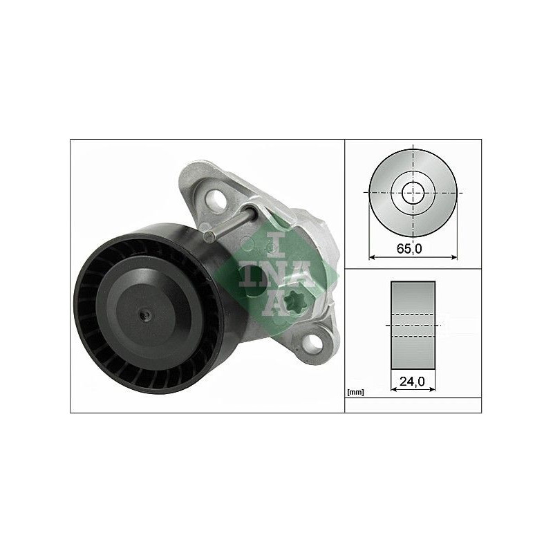 Tendicinghia trapezoidale - INA