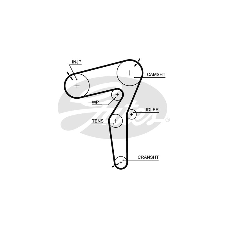 Cinghia/catena distribuzione - GATES
