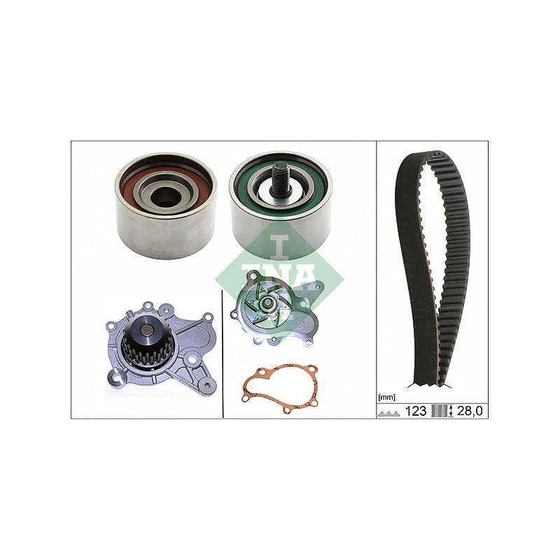 Tendicinghia trapezoidale - INA