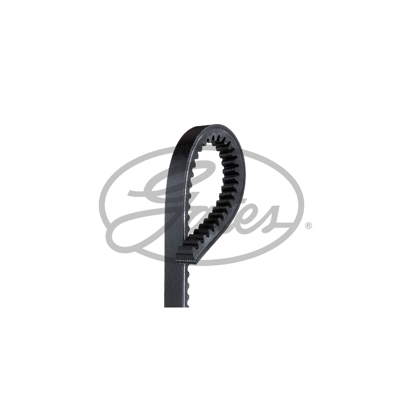 Cinghia trapezoidale - GATES