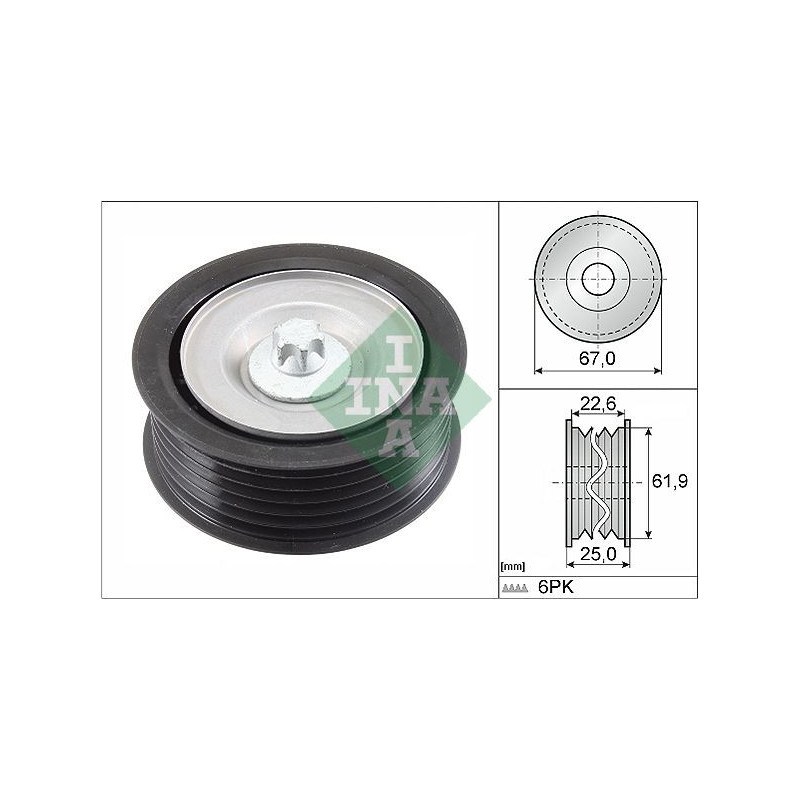 Tendicinghia trapezoidale - INA