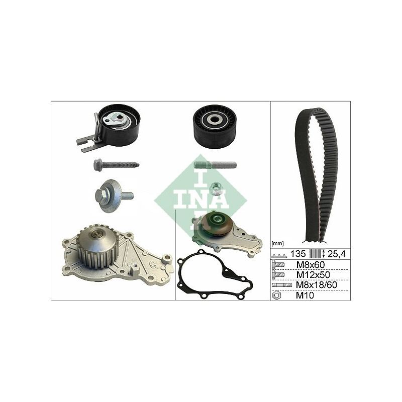 Tendicinghia trapezoidale - INA