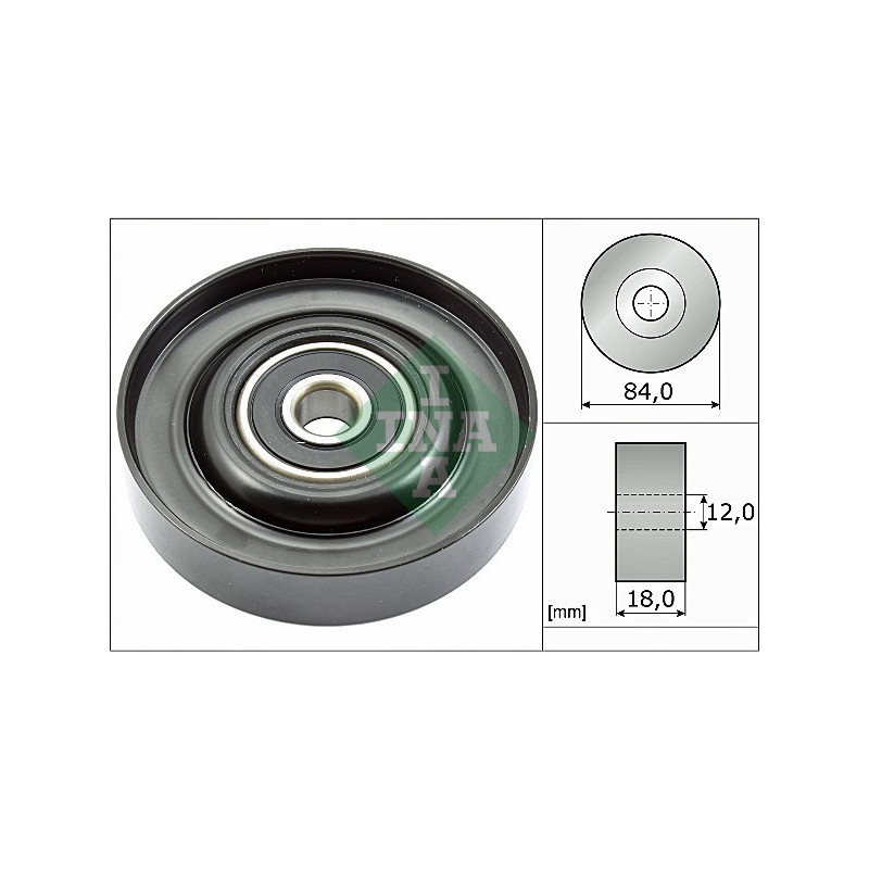 Tendicinghia trapezoidale - INA