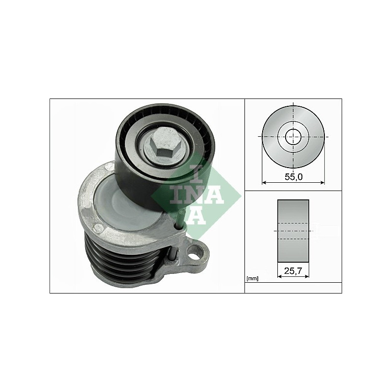 Tendicinghia trapezoidale - INA