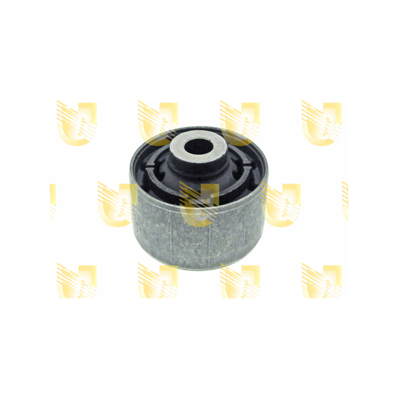 Braccio oscillante asse posteriore - UNIGOM