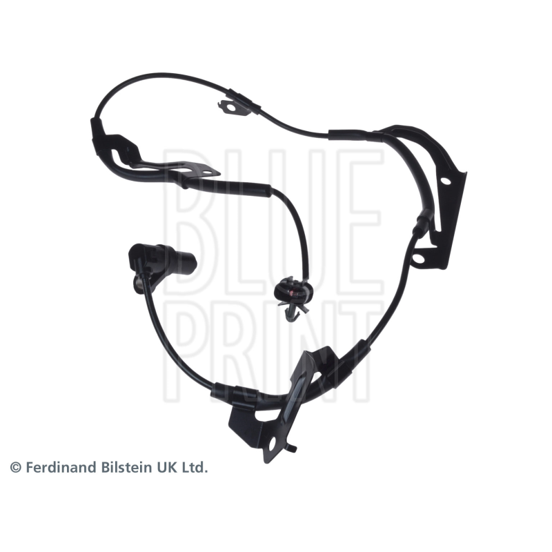 Sonda Lambda - BLUE PRINT