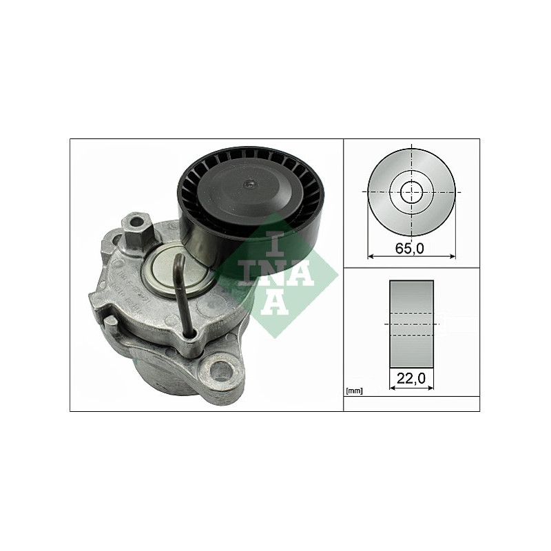 Tendicinghia trapezoidale - INA