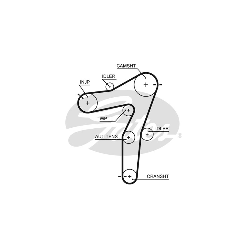 Kit distribuzione - GATES