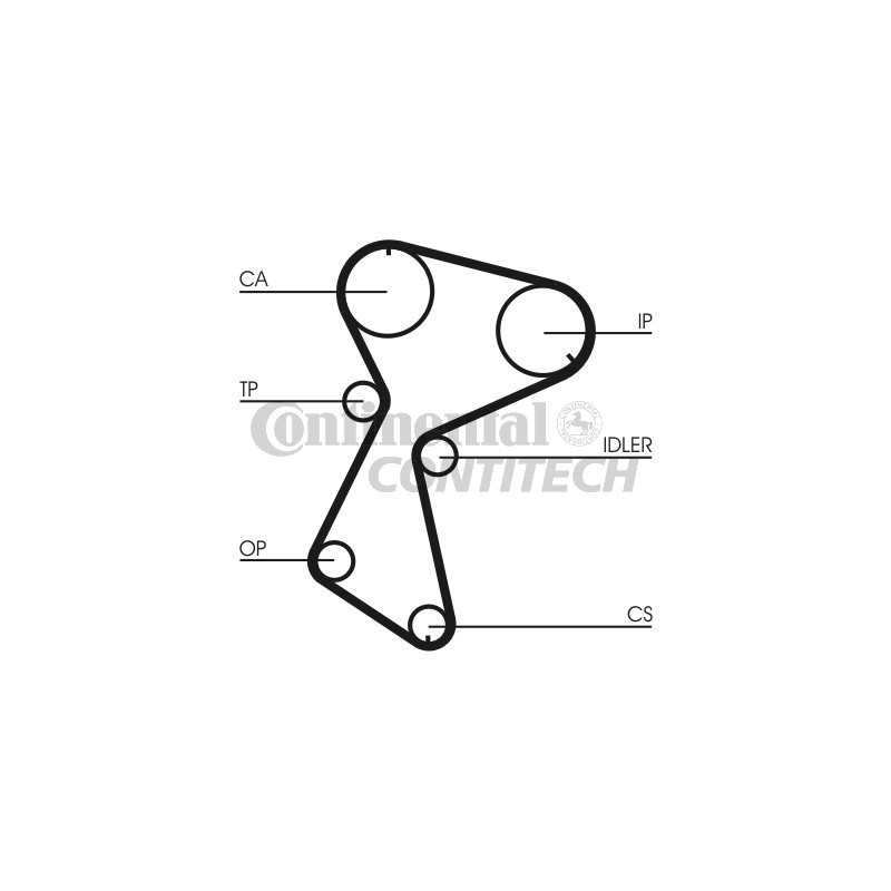 Cinghia/catena distribuzione - CONTITECH