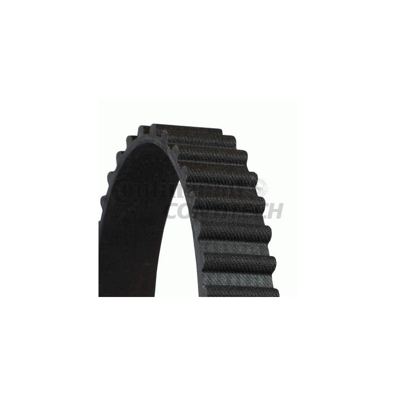 Cinghia/catena distribuzione - CONTITECH