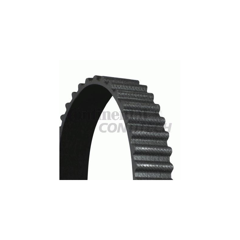 Cinghia/catena distribuzione - CONTITECH