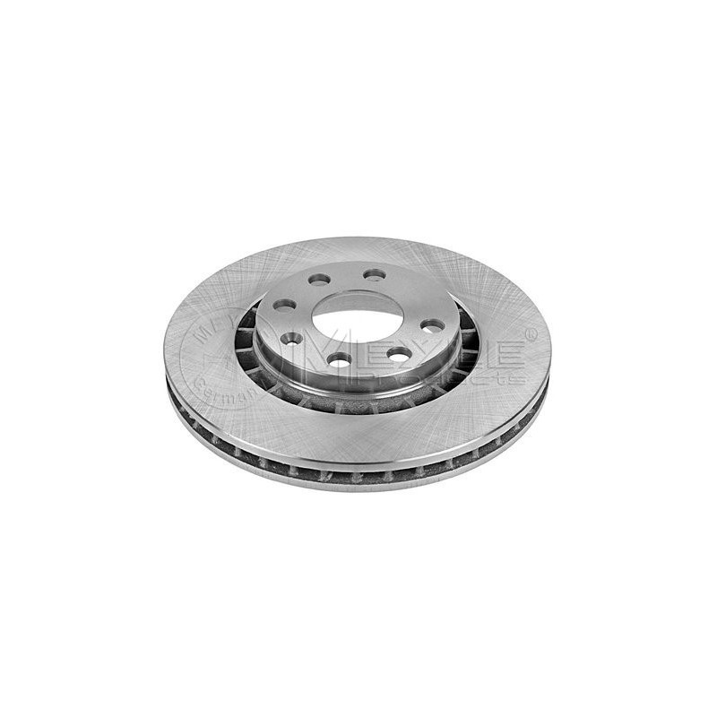 Disco freno asse anteriore - MEYLE