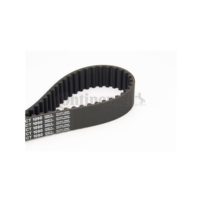 Cinghia/catena distribuzione - CONTITECH