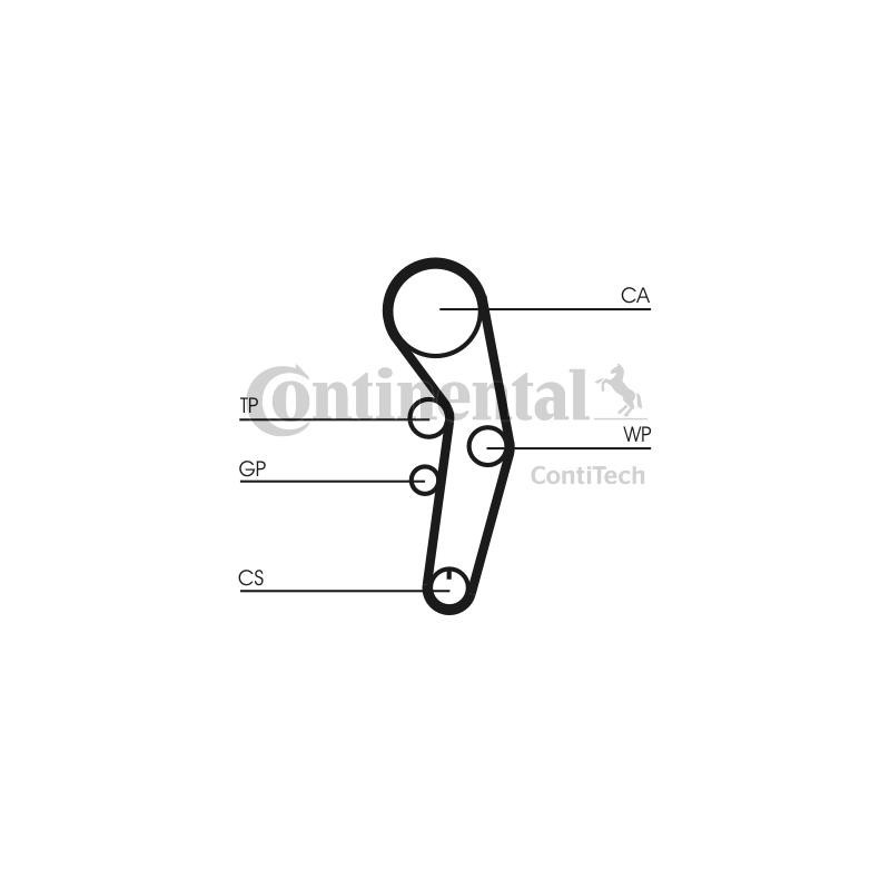 Cinghia/catena distribuzione - CONTITECH
