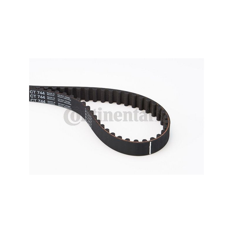 Cinghia/catena distribuzione - CONTITECH