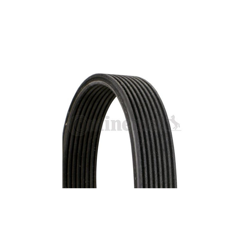 Cinghia trapezoidale - CONTITECH