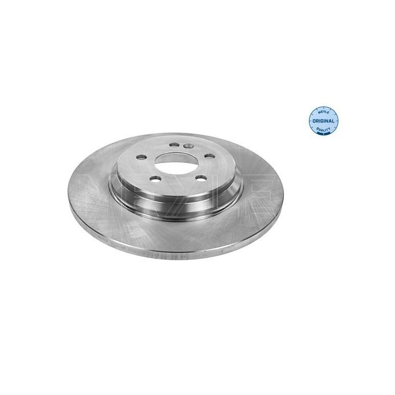 Disco freno asse posteriore - MEYLE