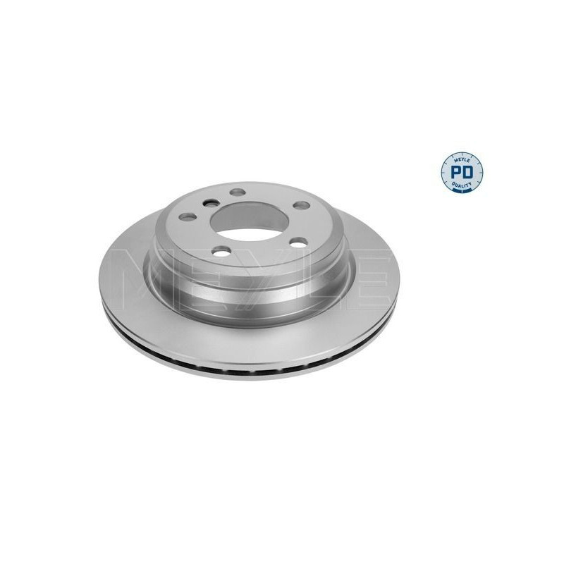 Disco freno asse posteriore - MEYLE