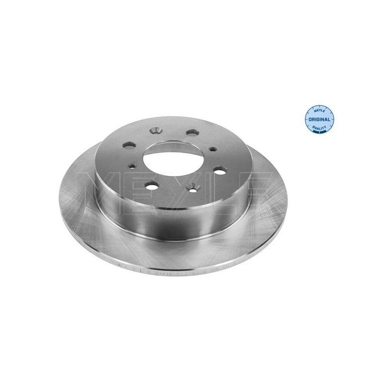 Disco freno asse posteriore - MEYLE