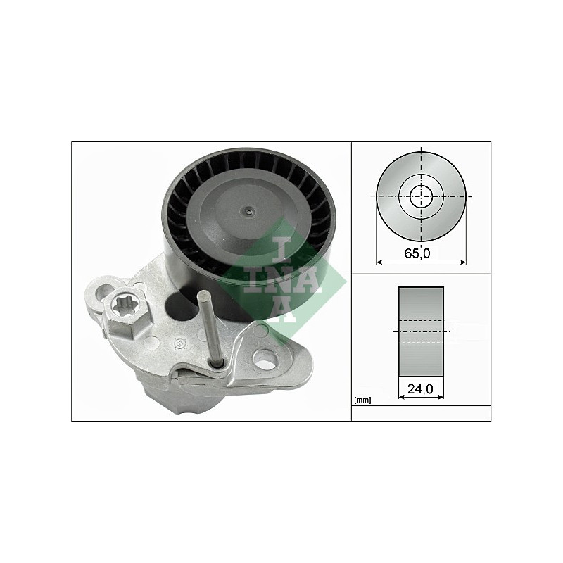 Tendicinghia trapezoidale - INA