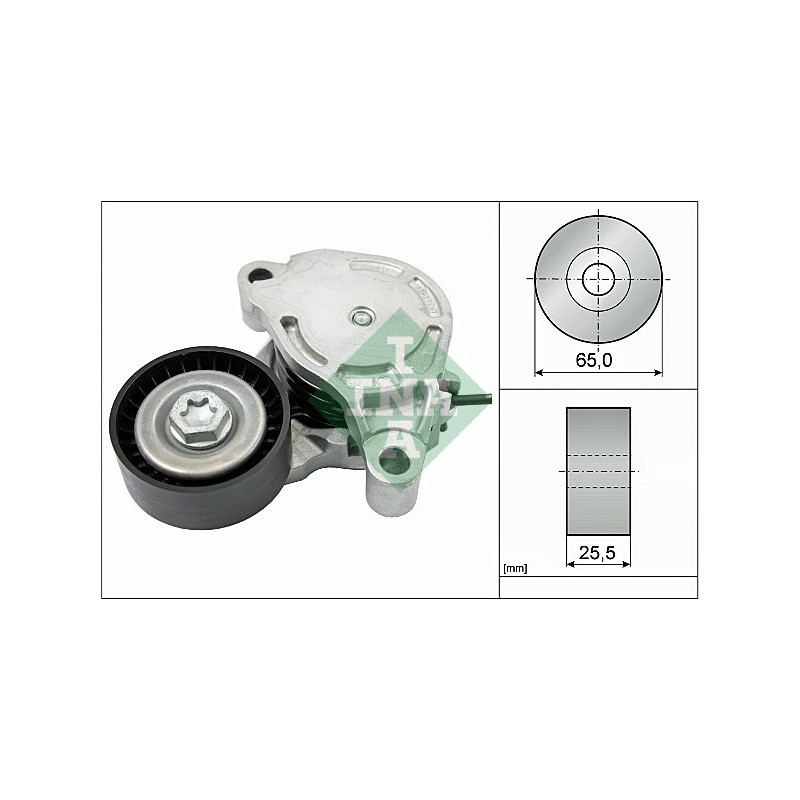 Tendicinghia trapezoidale - INA