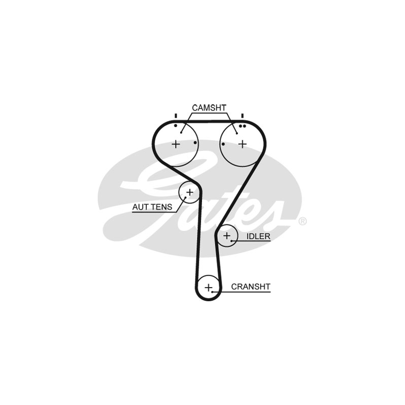 Cinghia/catena distribuzione - GATES