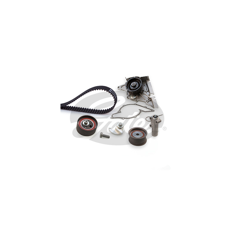 Tendicinghia trapezoidale - GATES