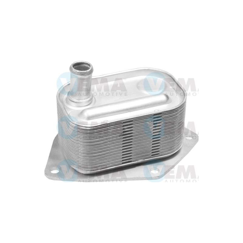 Radiatore olio motore - VEMA