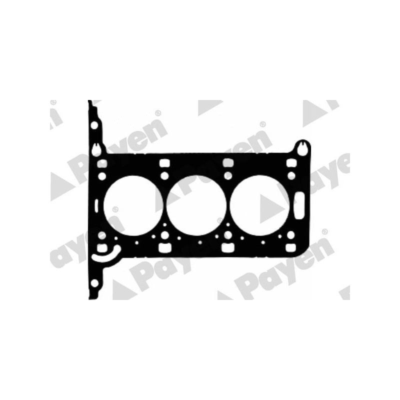 Guarnizione testata - PAYEN