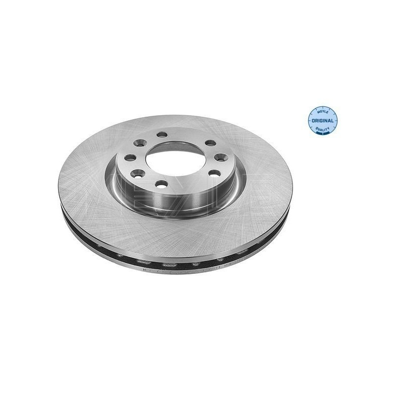 Disco freno asse anteriore - MEYLE