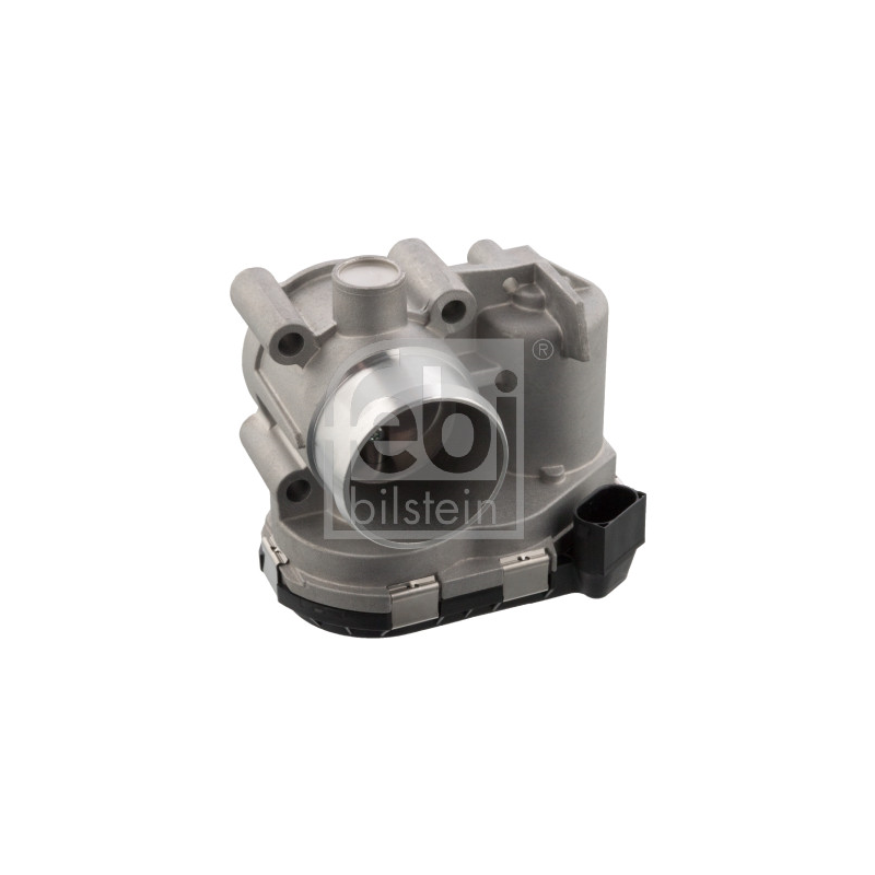 Corpo farfallato - FEBI