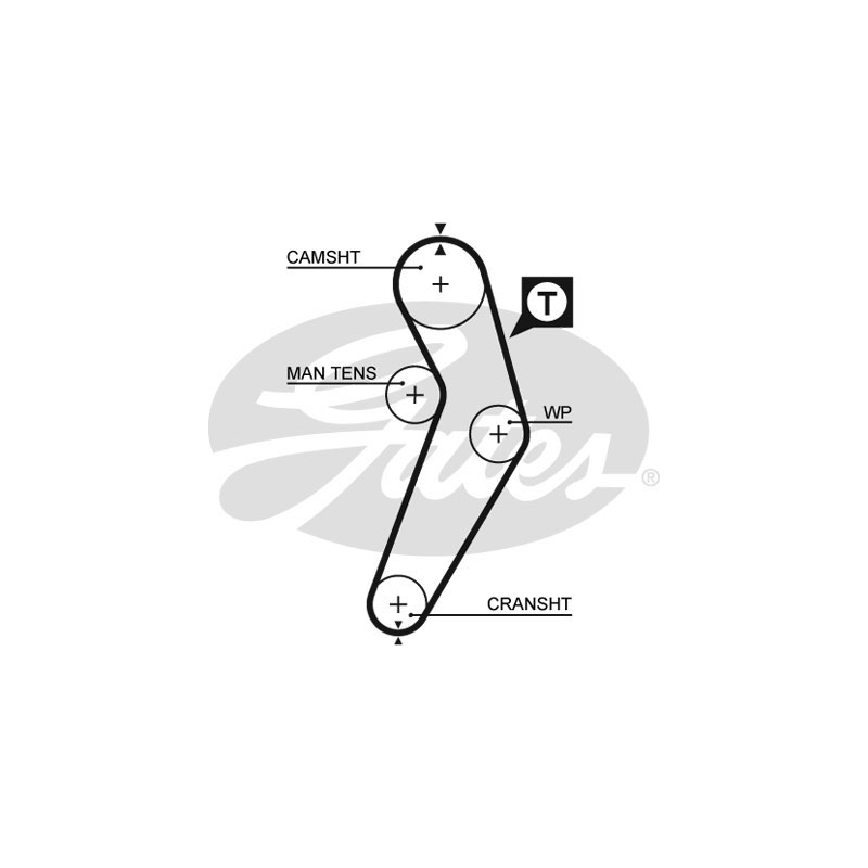 Kit distribuzione - GATES