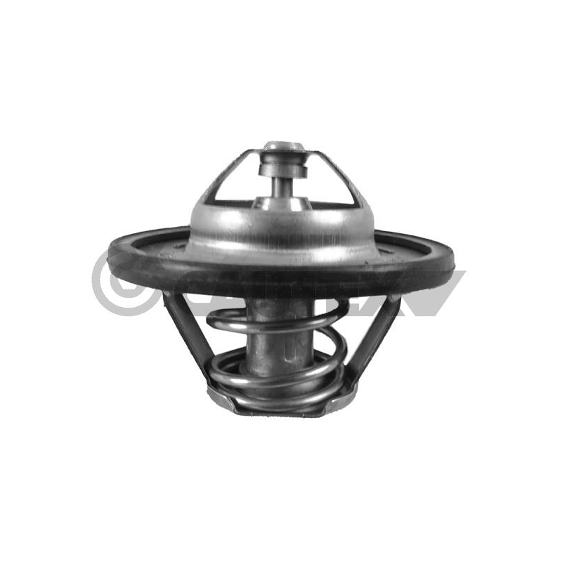 Termostato raffreddamento - CAUTEX GOMMA E PARTI MOTORE