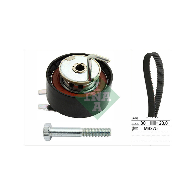 Kit distribuzione - INA