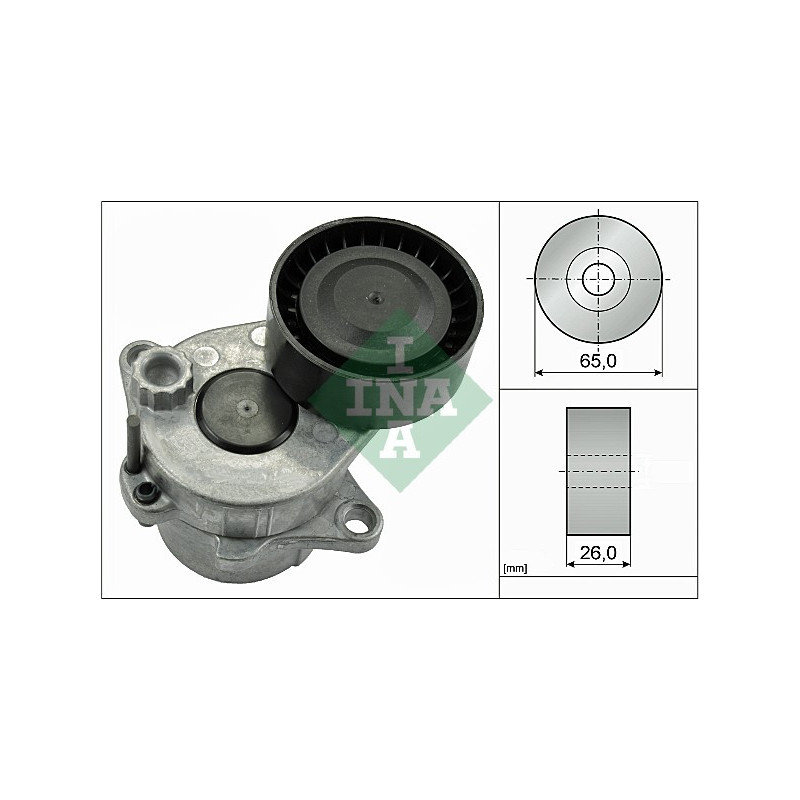 Tendicinghia trapezoidale - INA