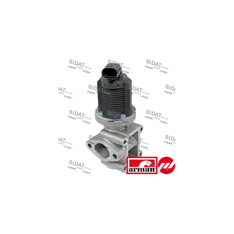 Valvola EGR - SIDAT